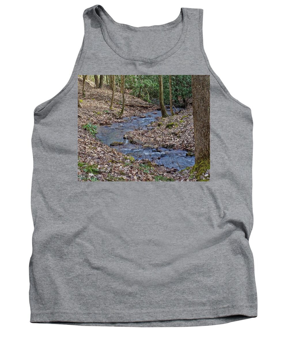 Water Tank Top featuring the photograph Stream Up The Hollow by Denise Romano