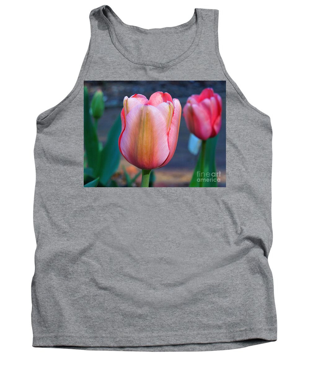 Tulip Tank Top featuring the photograph Suddenly Deliciolus by Chad and Stacey Hall