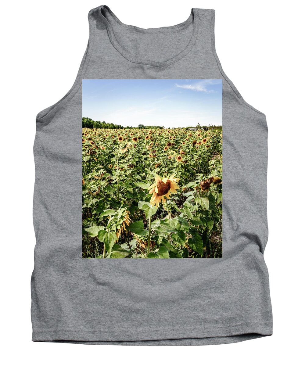 America Tank Top featuring the photograph Sunflower field by Alexey Stiop
