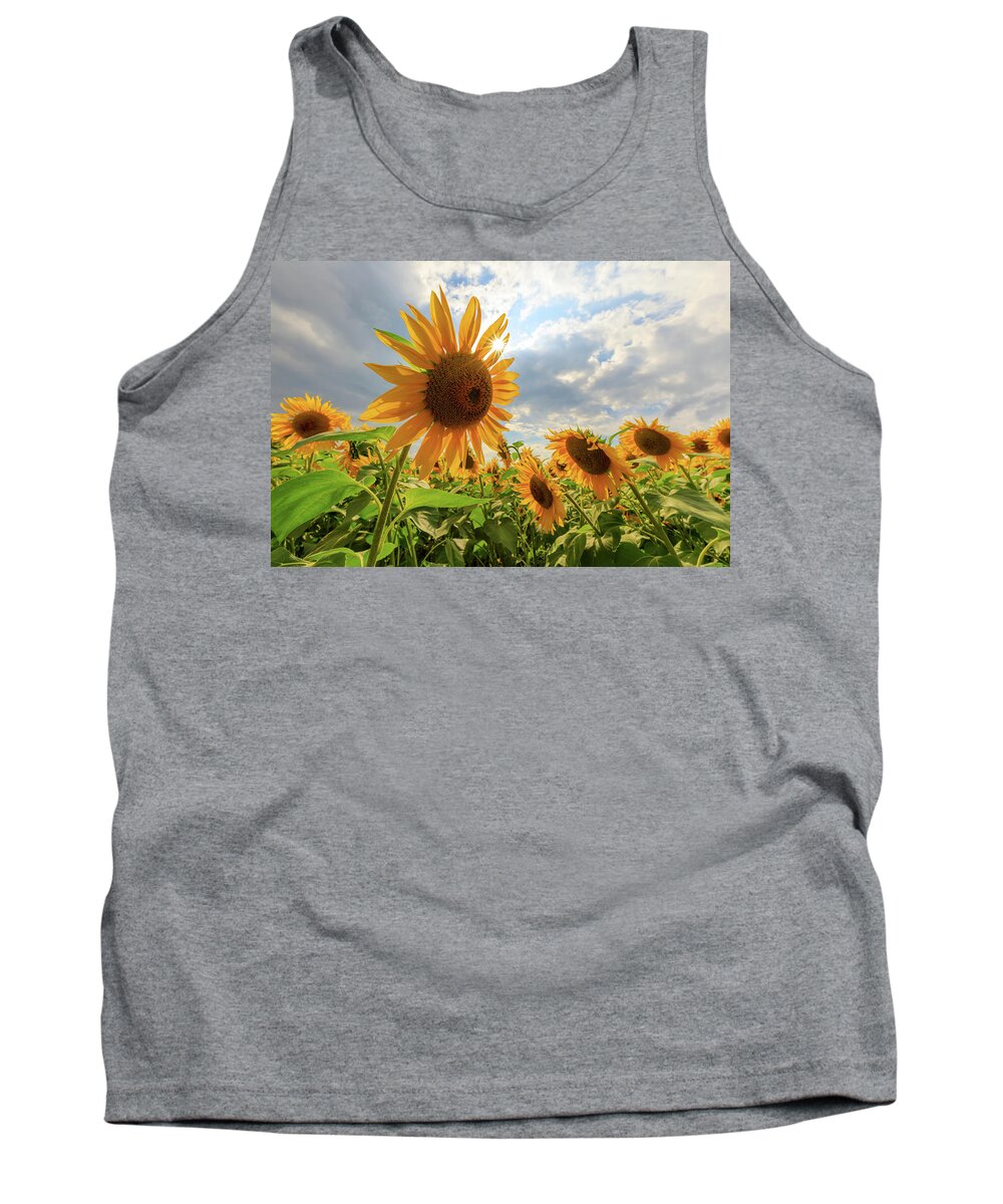 Sunflower Tank Top featuring the photograph Sunflower Star by Rob Davies