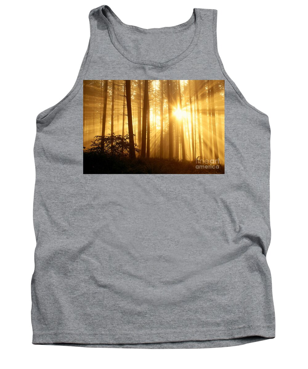 A24e Tank Top featuring the photograph Sunlight In The Fog by Greg Vaughn - Printscapes