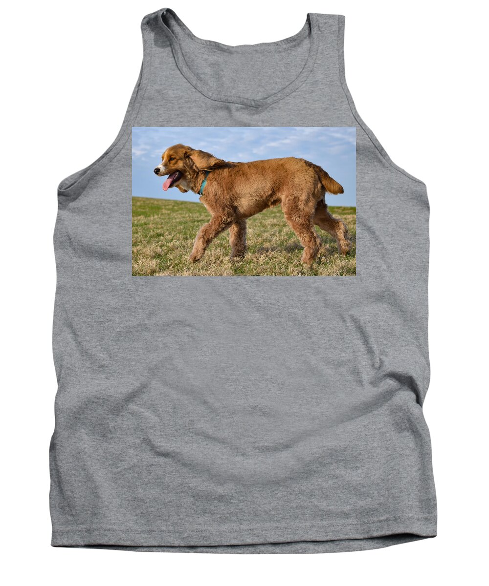 Cockapoo Tank Top featuring the photograph Sunny Stroll by Nicole Lloyd