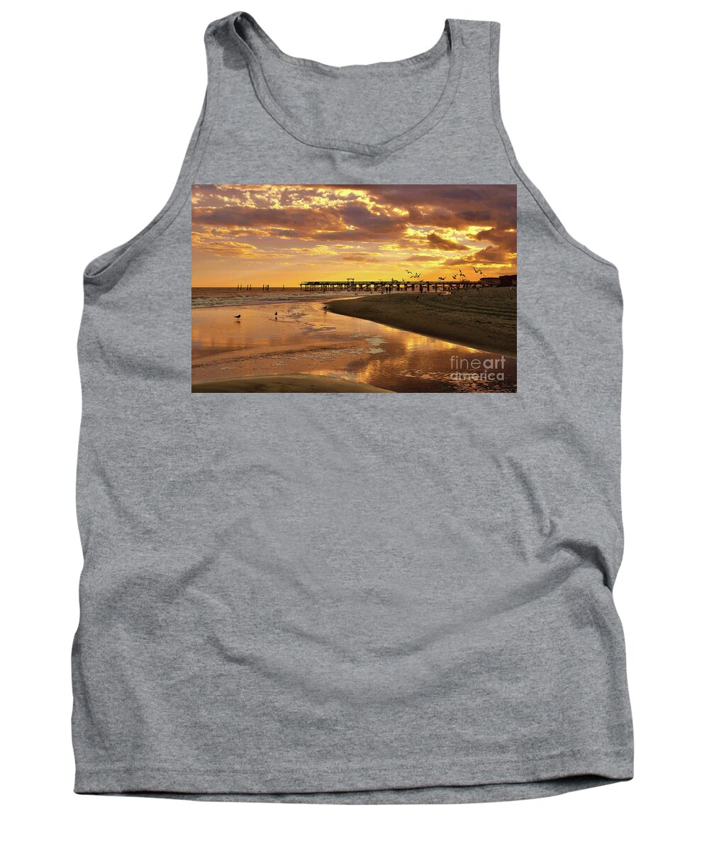 Scenic Tank Top featuring the photograph Sunset And Gulls by Kathy Baccari
