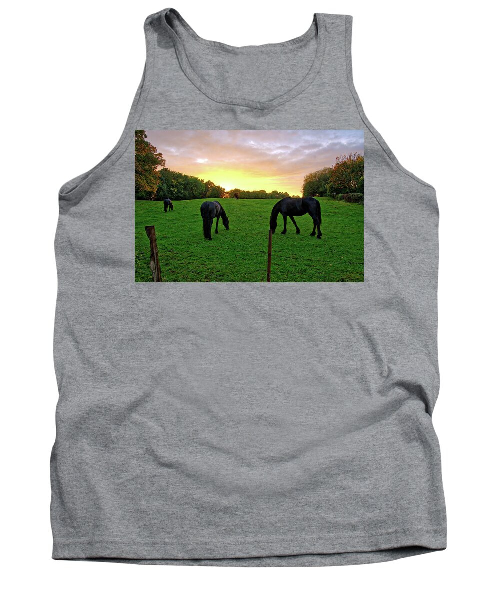 Belgium Tank Top featuring the photograph Sunset horses by Ingrid Dendievel