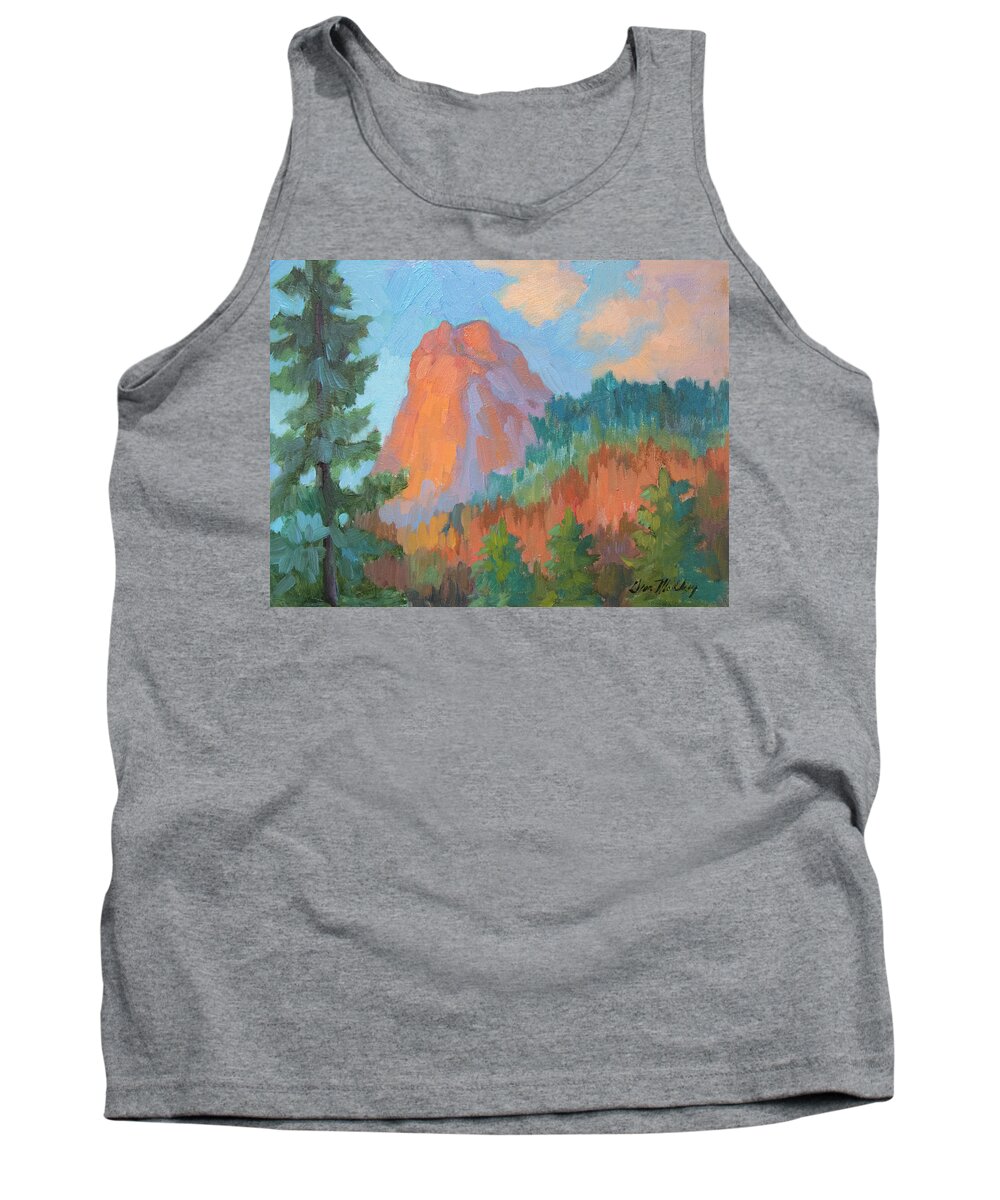 Lily Rock Tank Top featuring the painting Sunset on Lily Rock by Diane McClary