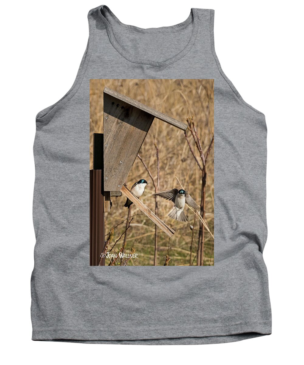 Mn Landscape Arboretum Tank Top featuring the photograph Swallow Landing by Joan Wallner