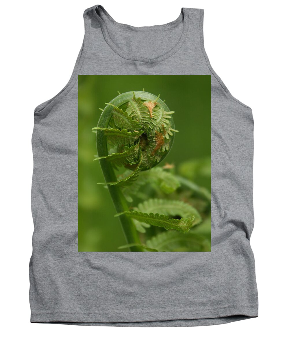 Flower Tank Top featuring the photograph Take a bow by Thomas Pipia
