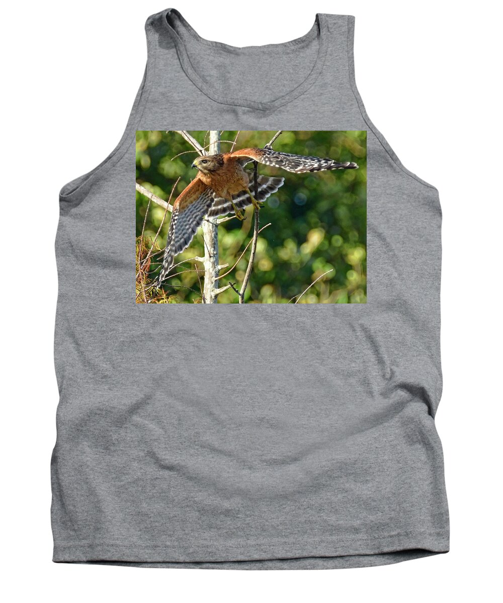 Hawk Tank Top featuring the photograph Take Off by Don Durfee