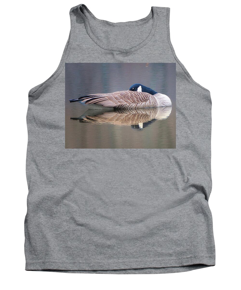 Birds Wildlife Animals Tank Top featuring the photograph Taking a Nap by Paul Ross