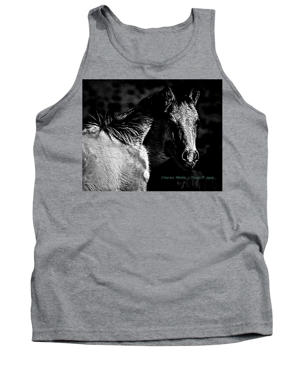  Taos Tank Top featuring the photograph Taos Pony in B-W by Charles Muhle