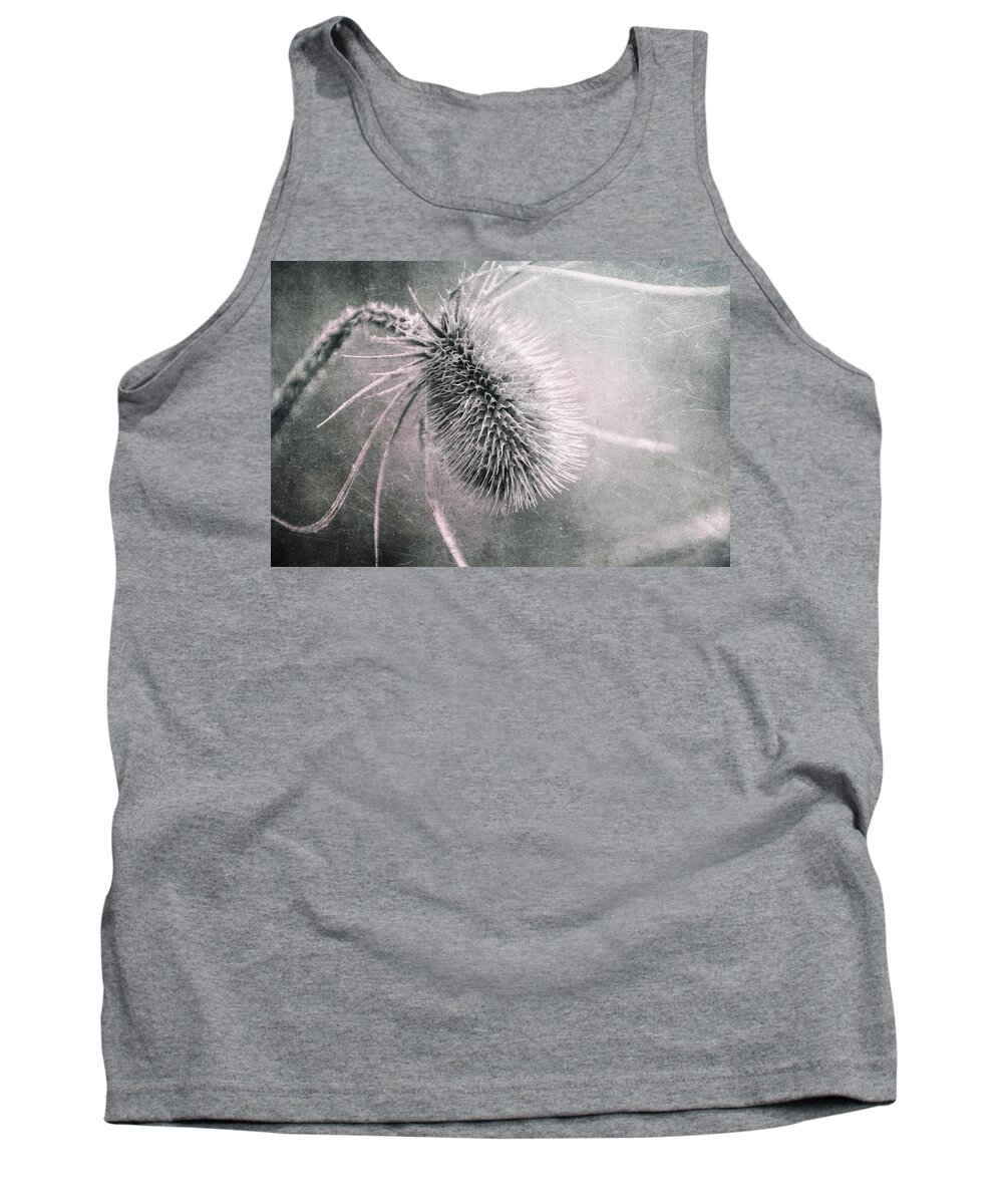 Plant Tank Top featuring the photograph Teazel Weed by Tom Mc Nemar