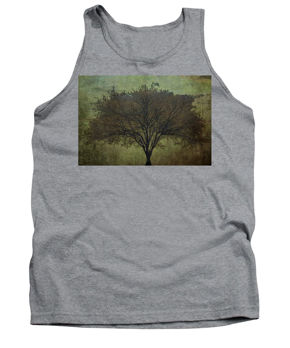 Eden Tank Top featuring the photograph Apple by Pete Rems