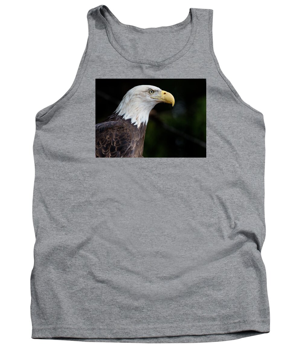 Bald Eagle Tank Top featuring the photograph The Beak Pointeth by Greg Nyquist
