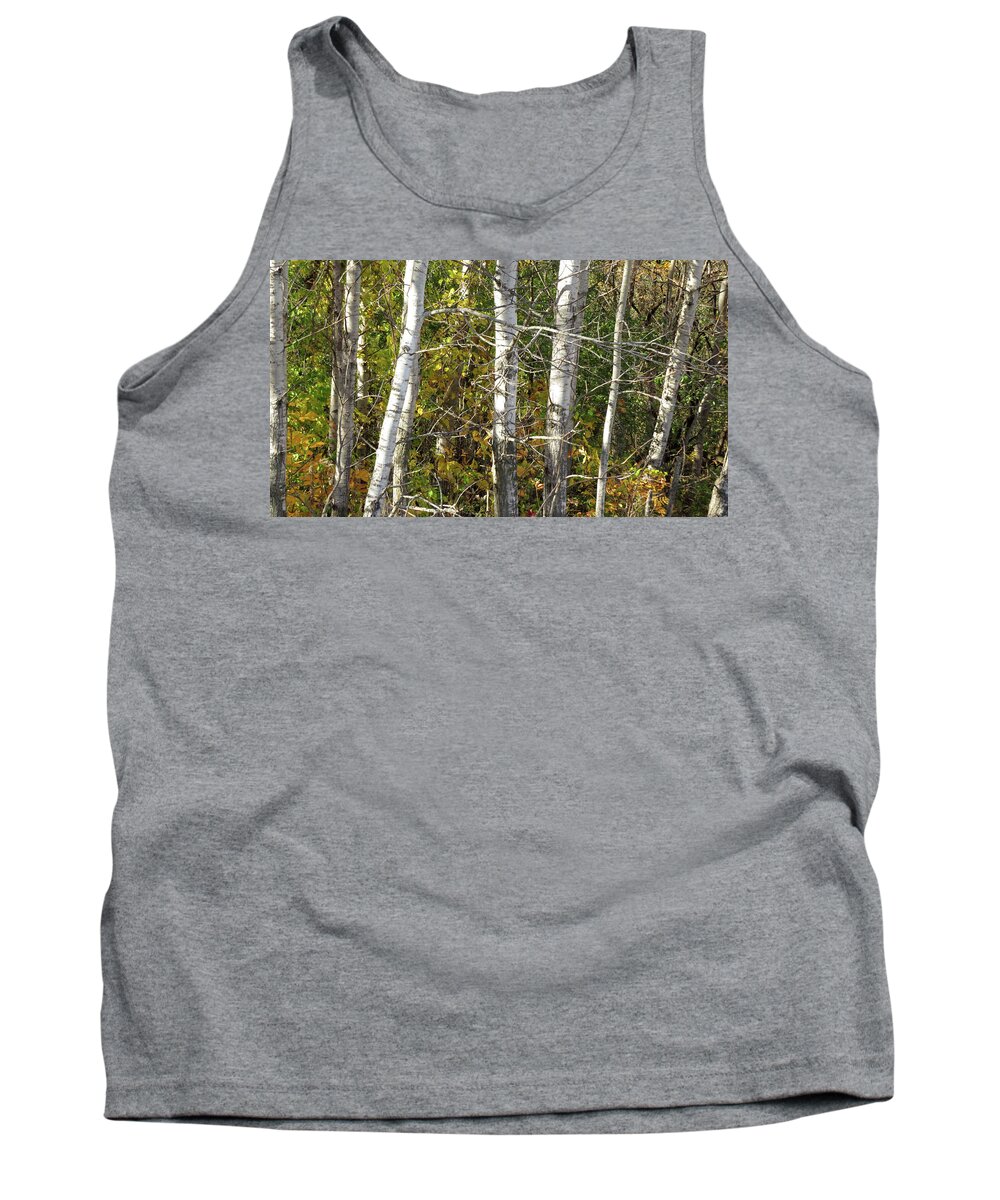  Tank Top featuring the photograph The Birches by Kimberly Mackowski