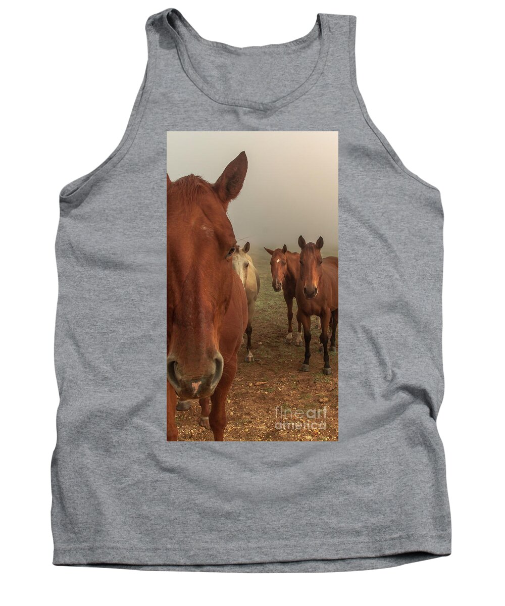 Animal Tank Top featuring the photograph The Gauntlet - Horses by Robert Frederick