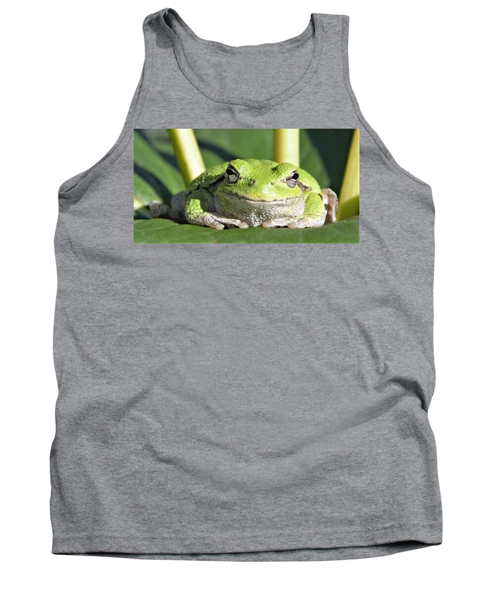 Frog Tank Top featuring the photograph The Happiest Tree Frog by Michael Hall