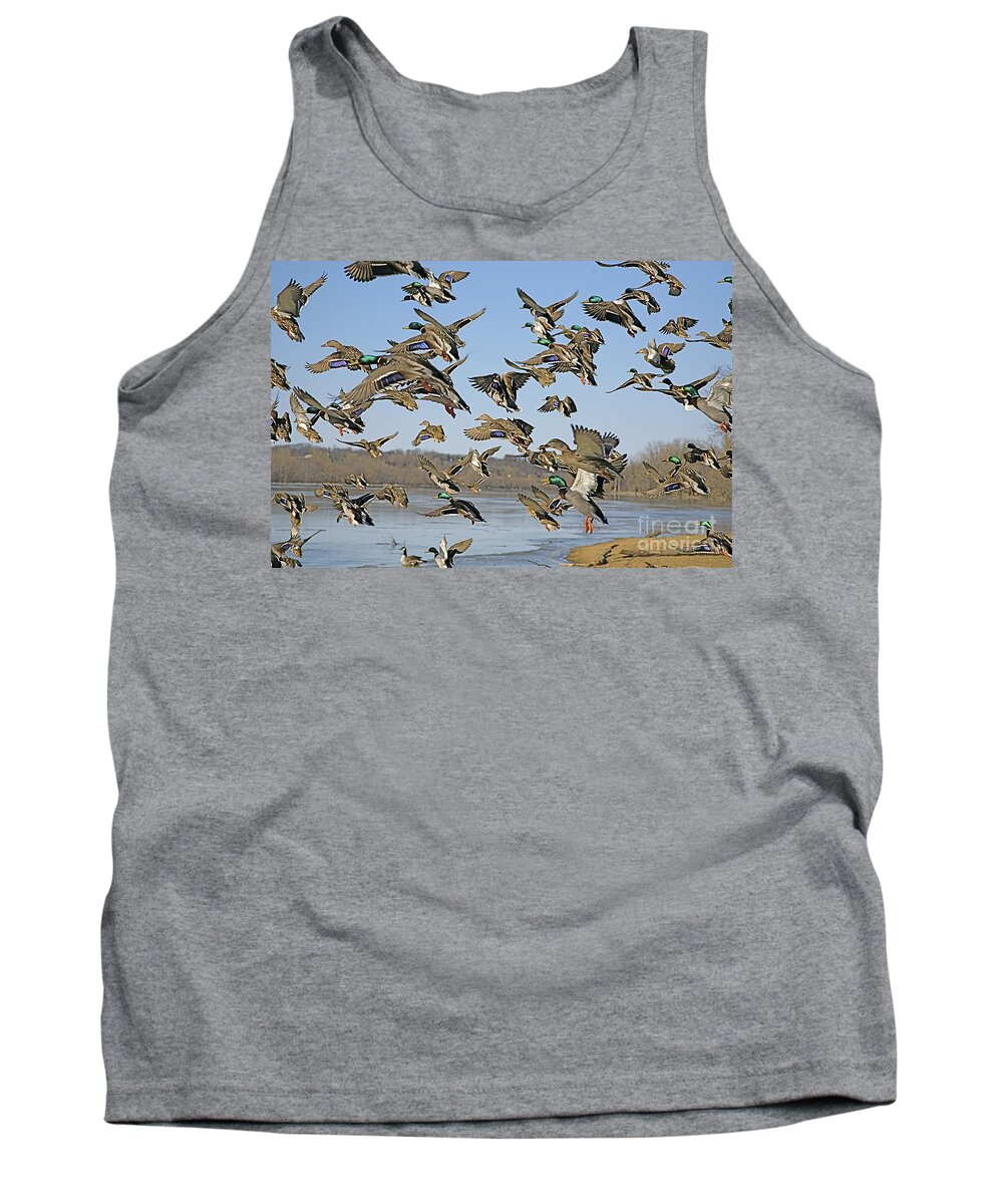Ducks Tank Top featuring the photograph The mad rush by Robert Pearson