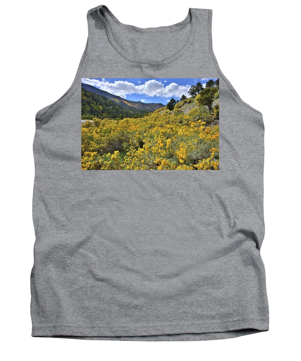 Nevada Tank Top featuring the photograph The Road to Mt. Charleston by Ray Mathis