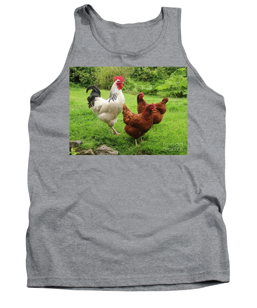 Chickens Tank Top featuring the photograph The Rooster and His Hens by Terri Waters