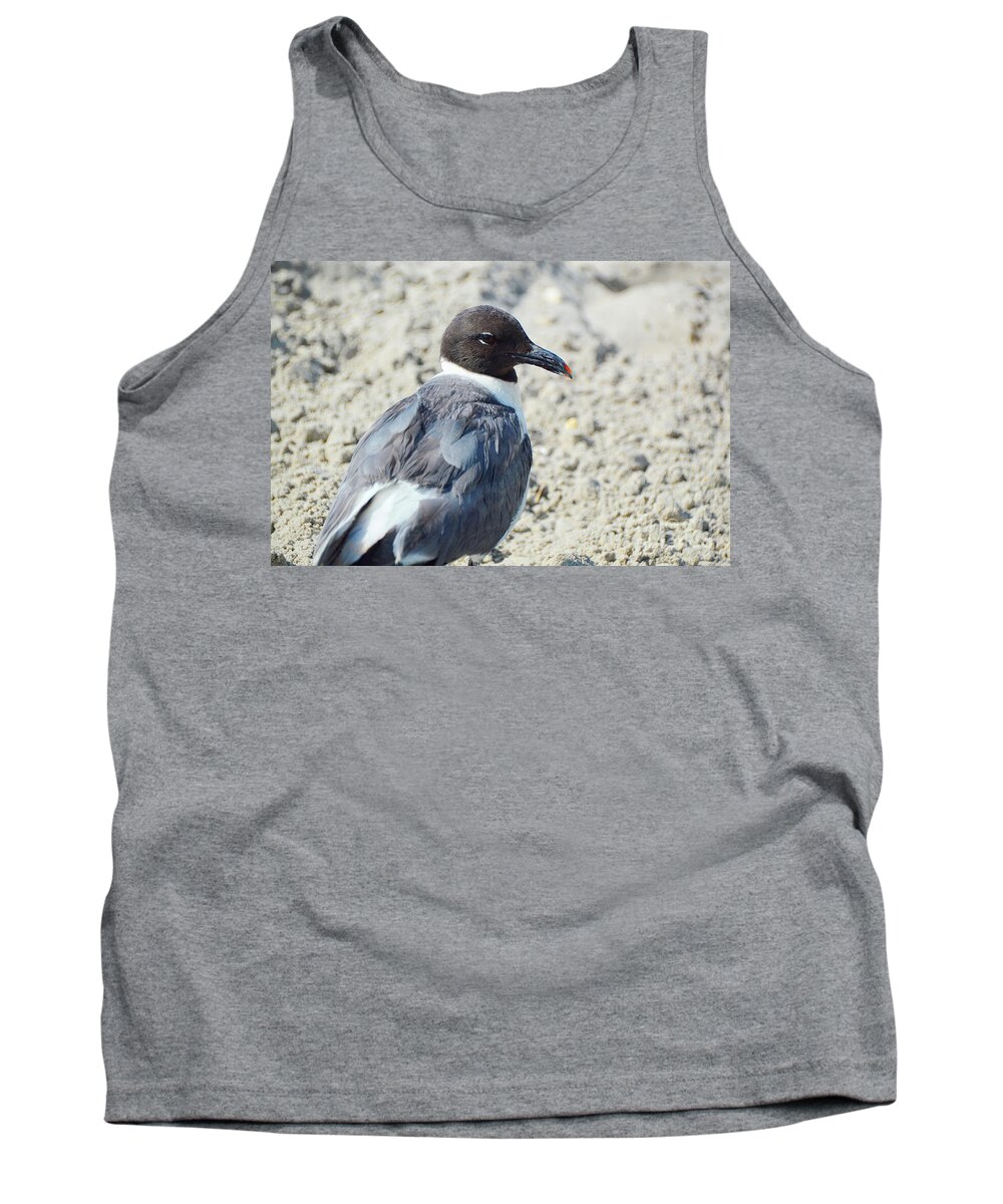Seagull Tank Top featuring the photograph The Seeker by Robyn King