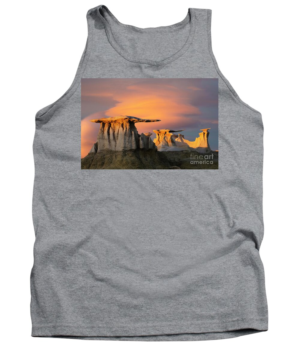 Hoodoo Tank Top featuring the photograph The Wings Of The Bisti by Bob Christopher