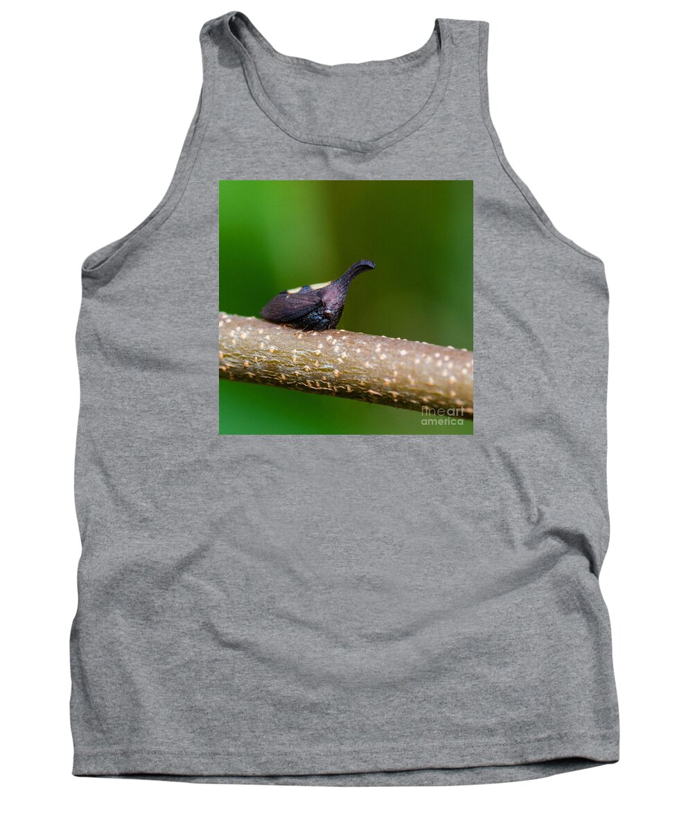 Thorn Mimic Tree Hopper Tank Top featuring the photograph Thorn Mimic Tree Hopper by Grace Grogan