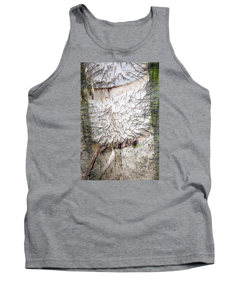 Peru Tank Top featuring the photograph Thorn Tree by Aivar Mikko