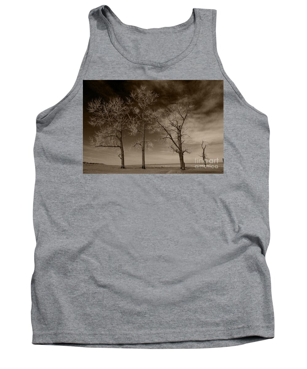 Trees Tank Top featuring the photograph Three and One by Timothy Johnson