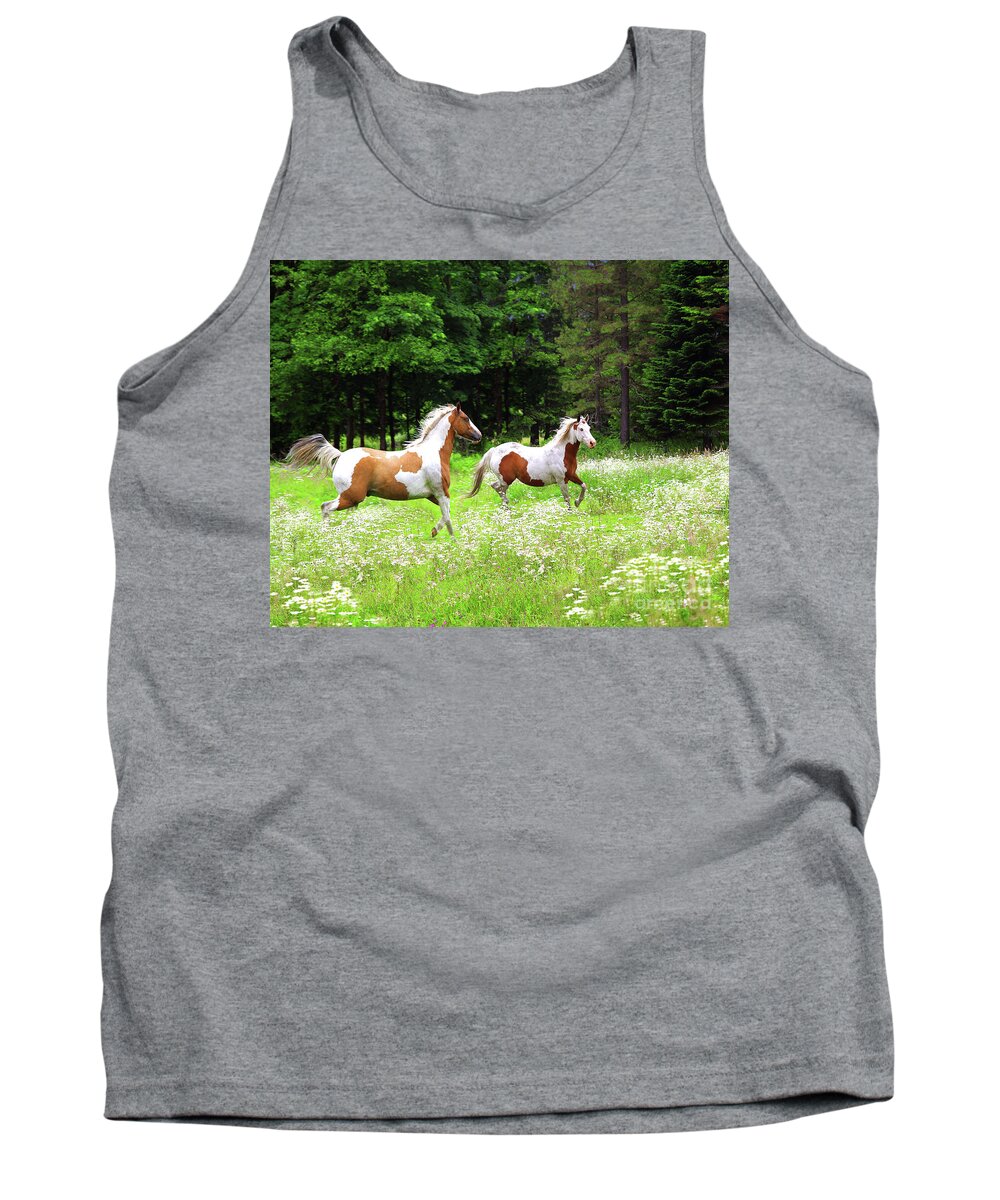 Paints Tank Top featuring the photograph Through The Field by Don Schimmel