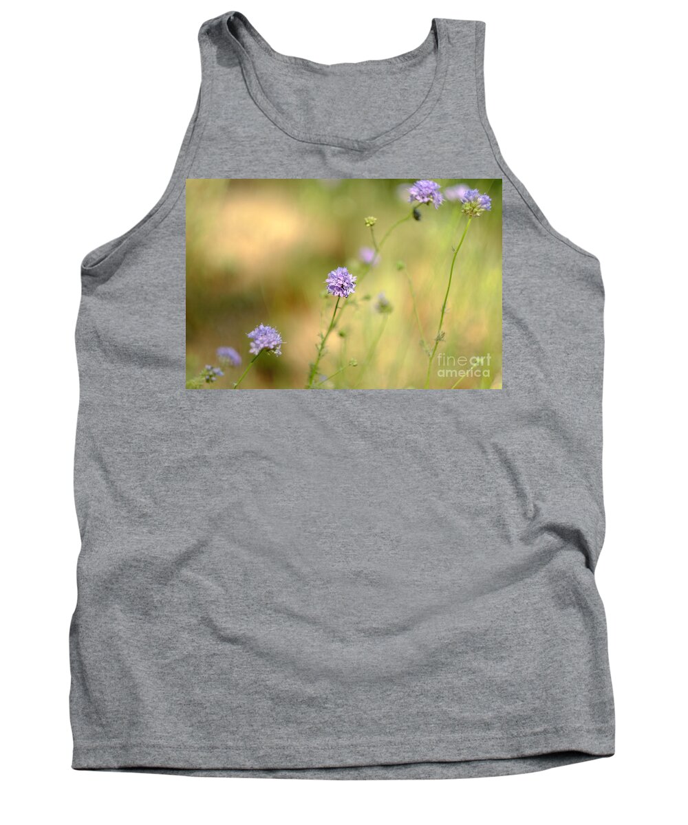 Globe Gilia Tank Top featuring the photograph Touch of Lavender Light by Parrish Todd