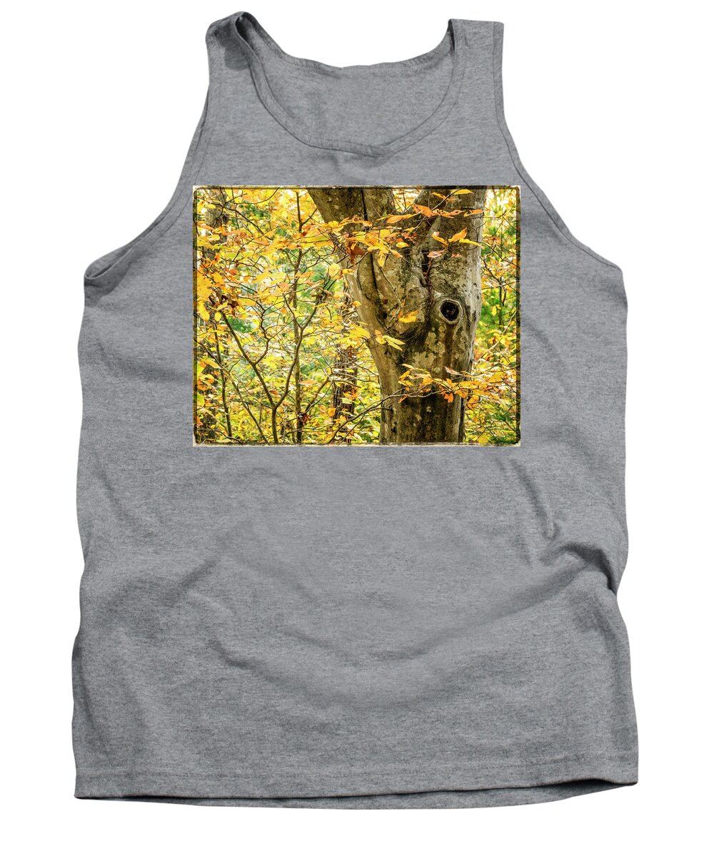 Tree Tank Top featuring the photograph Tree Hollow by Frank Winters