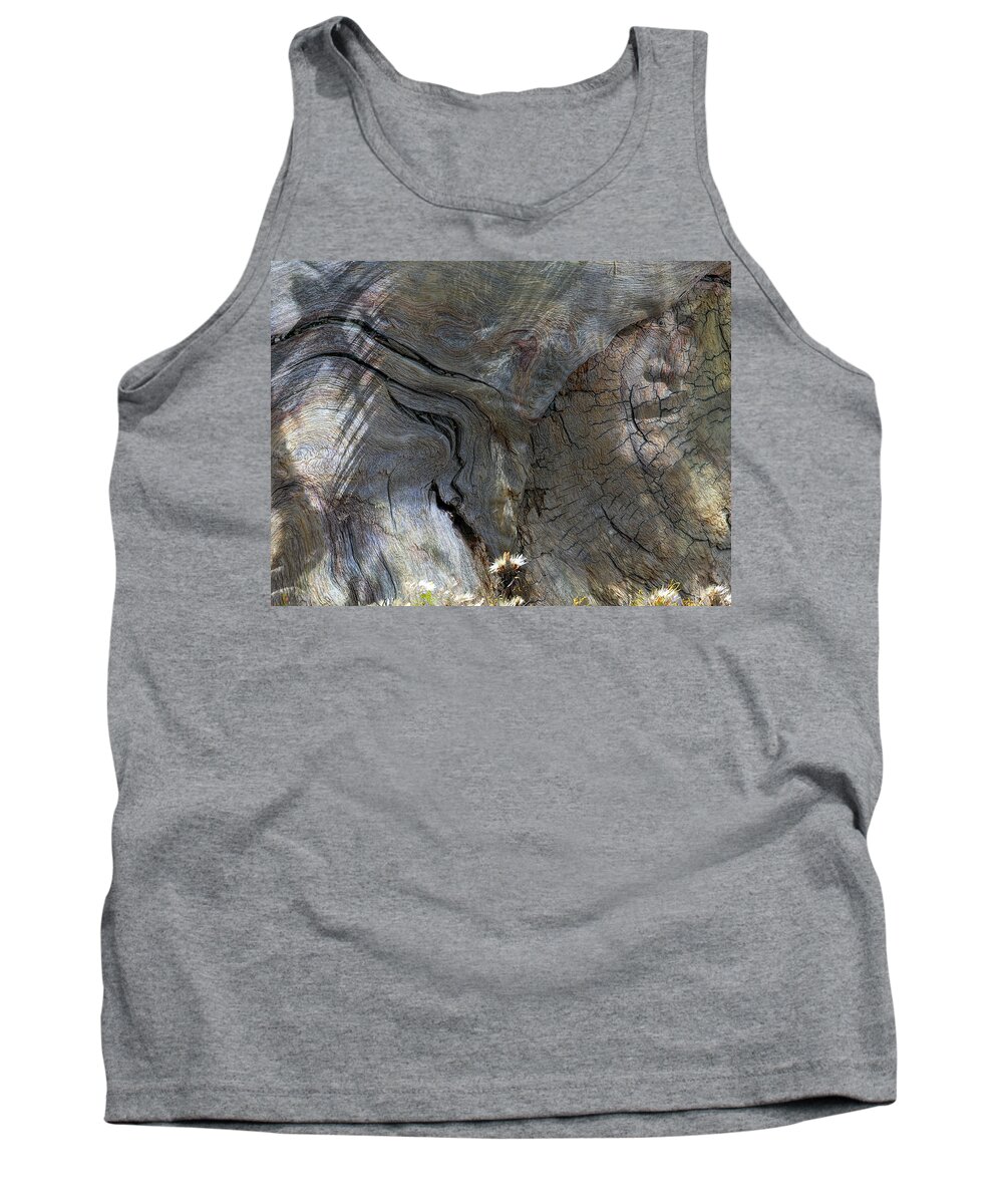 Trees Tank Top featuring the photograph Tree Memories # 28 by Ed Hall