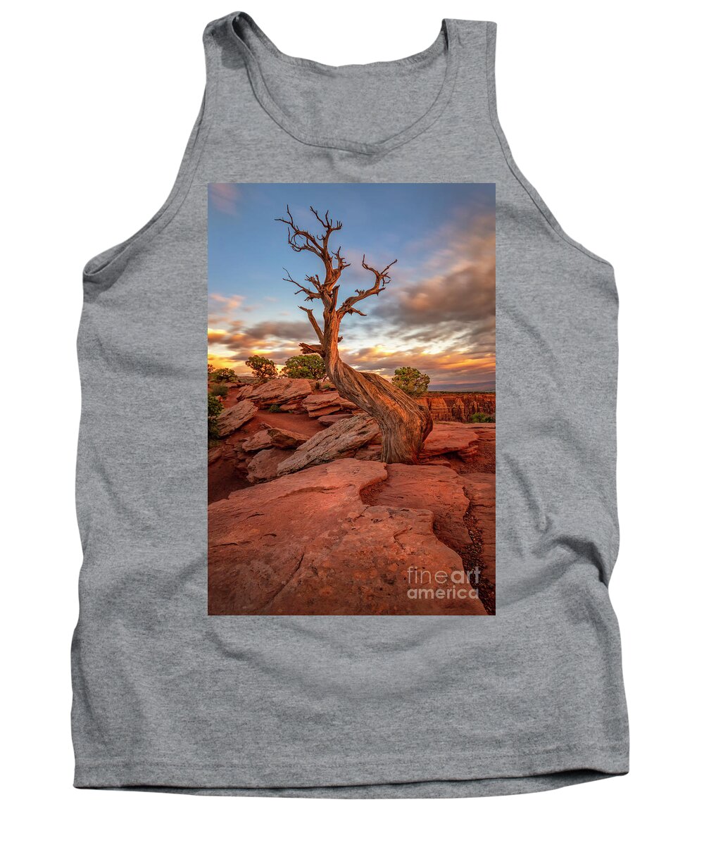 Colorado National Monument Tank Top featuring the photograph Tree by Ronda Kimbrow