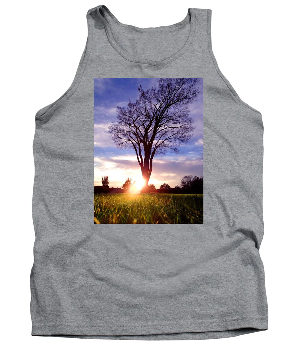 Landscape Tank Top featuring the photograph Tree Sun Lit by Morgan Carter