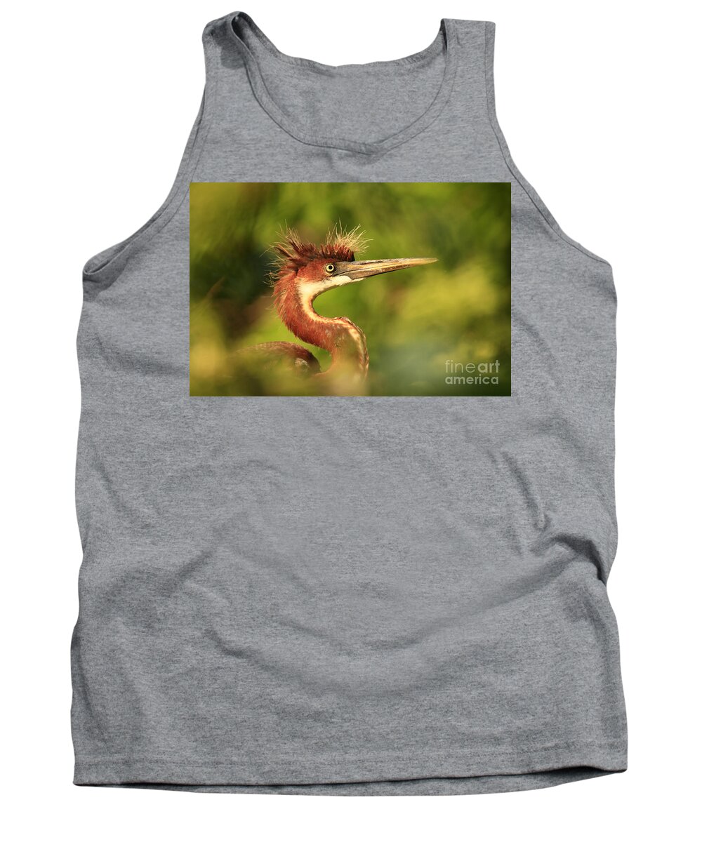 Green Tank Top featuring the photograph Tri-Colored Heron Youth by John F Tsumas