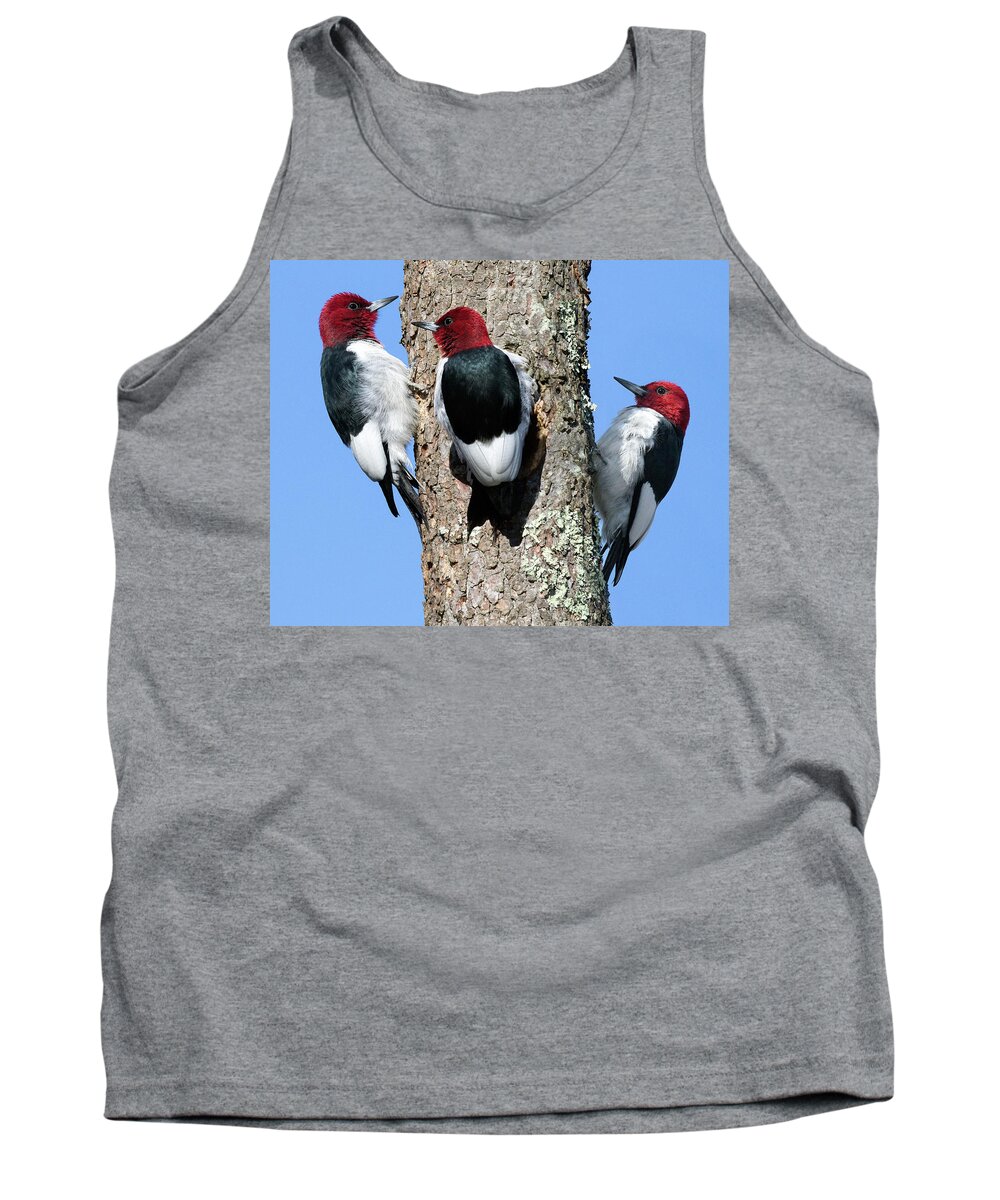Red Headed Woodpecker Tank Top featuring the photograph Tripecka by Art Cole