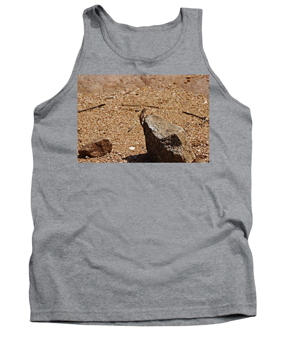 Lizard Tank Top featuring the photograph Tough guy by James Smullins