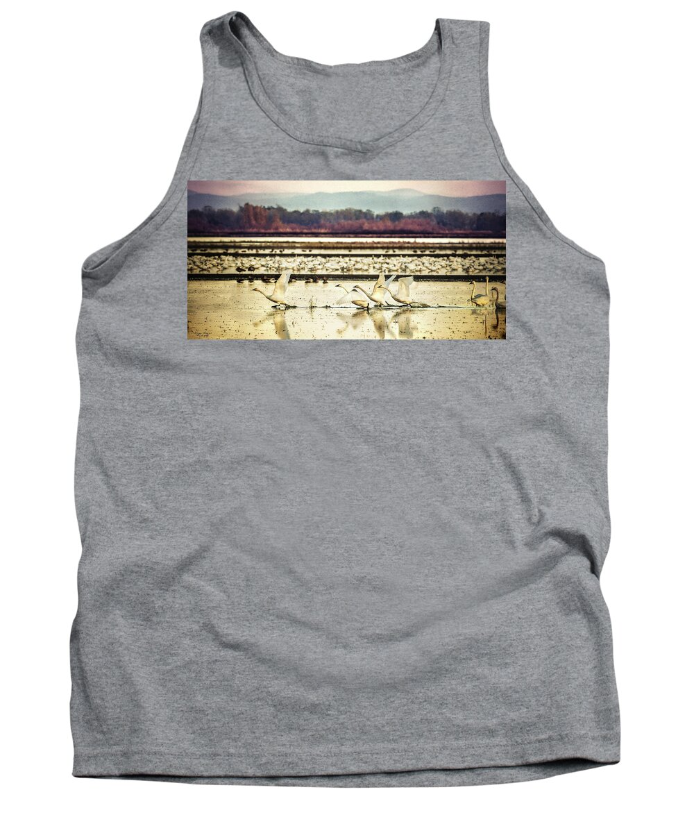 Swans Tank Top featuring the photograph Tundra Swans Lift Off by Abram House