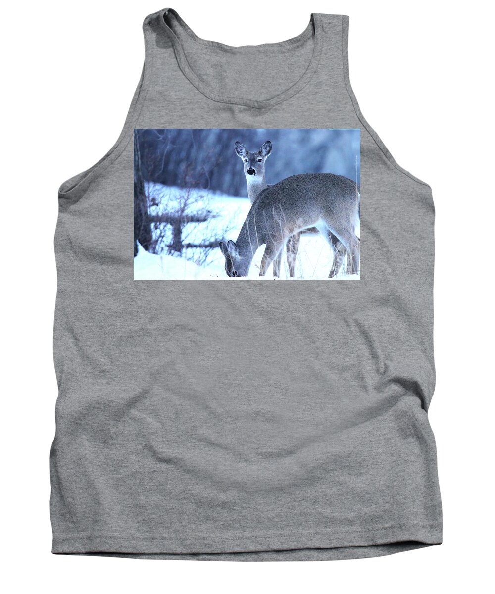 Animals Tank Top featuring the photograph Up or Down by Alyce Taylor