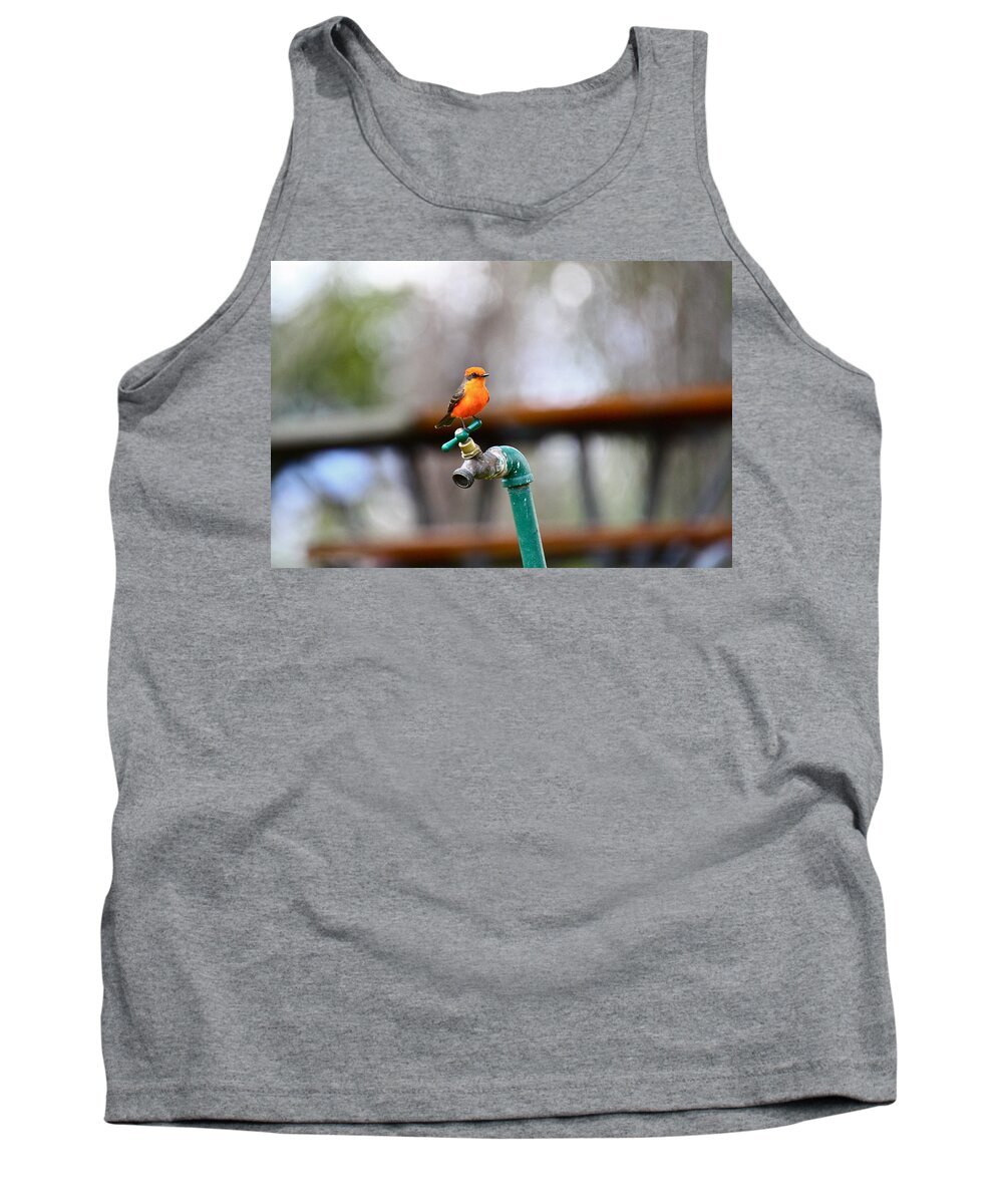 Birds Tank Top featuring the photograph Vermilion Flycatcher Two by Diana Hatcher