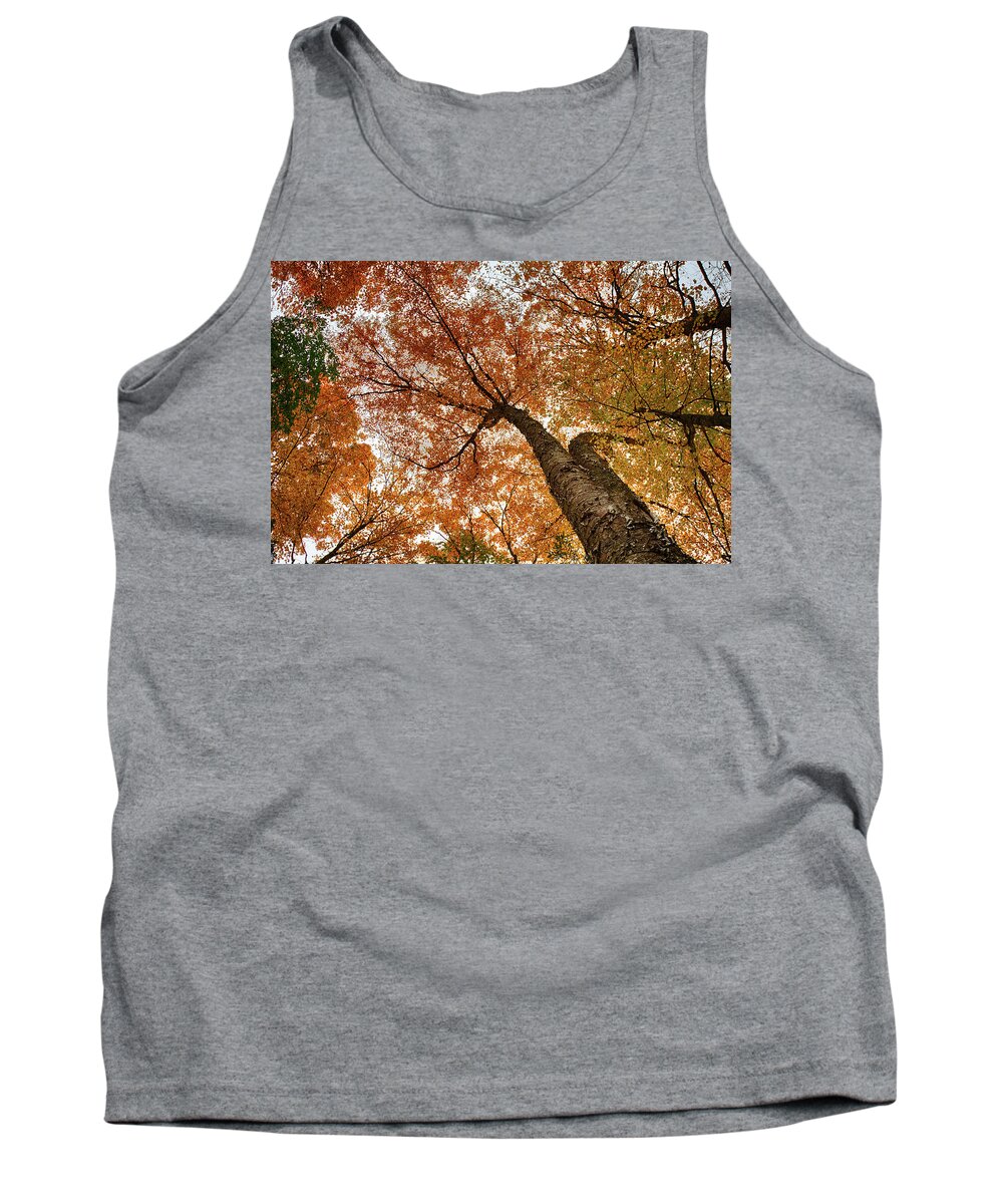 Autumn Foliage Tank Top featuring the photograph Vermont fall foliage views by Jeff Folger