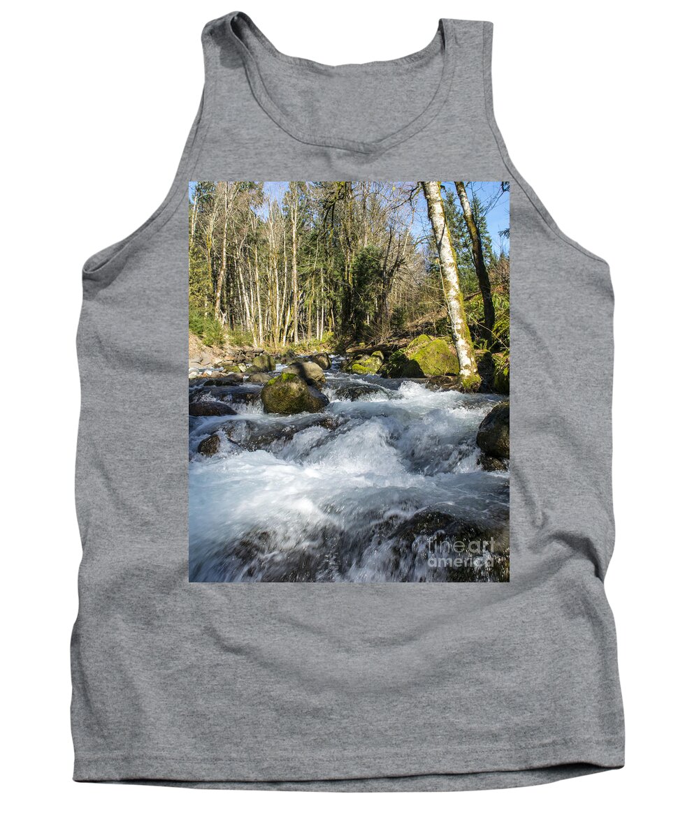 Streams Tank Top featuring the photograph Views Of A Stream, III by Chuck Flewelling