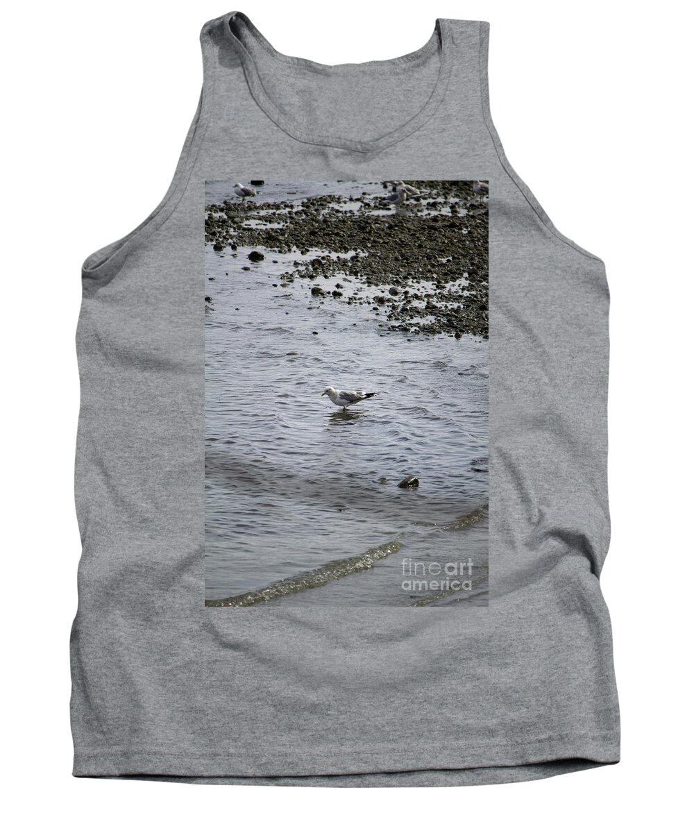 Gull Tank Top featuring the photograph Wading Gull by Donna L Munro
