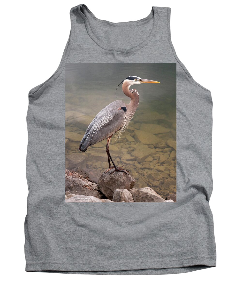 Blue Heron Tank Top featuring the photograph Waiting by Terri Harper