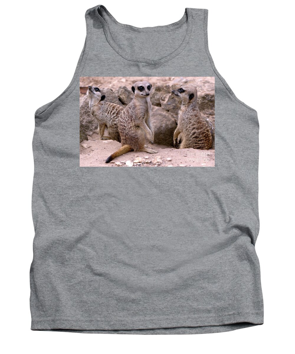 Animal Tank Top featuring the photograph Watchers by Baggieoldboy