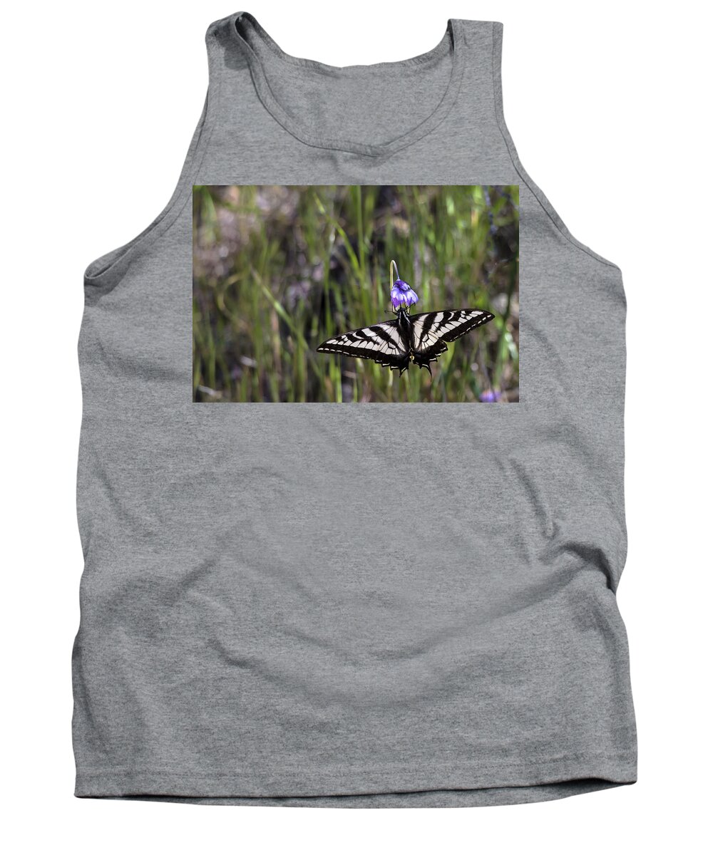 Swallowtail Tank Top featuring the photograph Western Tiger Swallowtail by Ed Clark