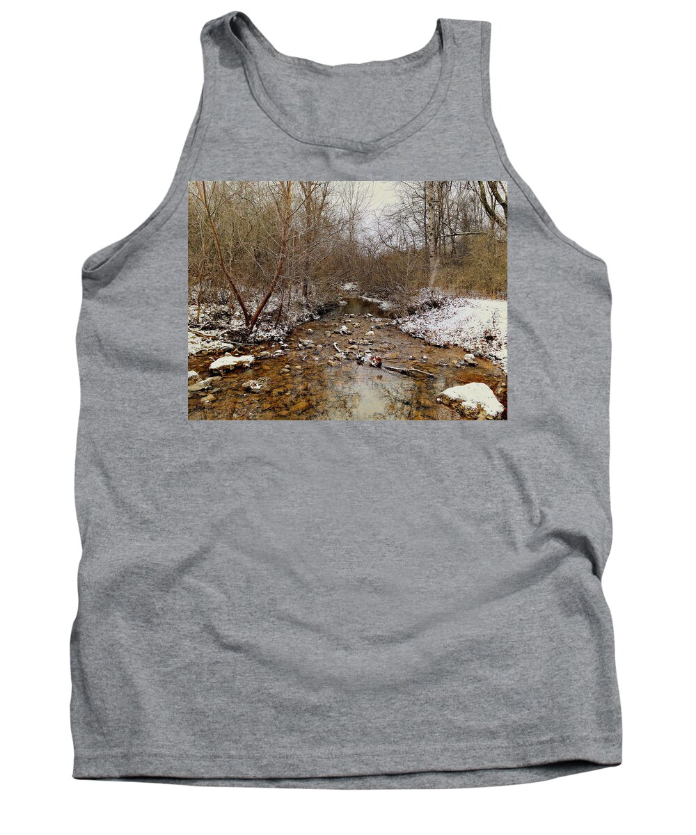 Snow Tank Top featuring the photograph What Snow Doesn't Fall by Steven Gordon
