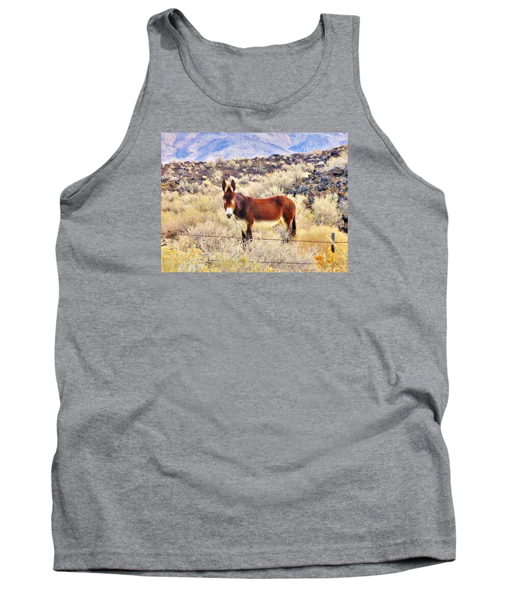 Desert Tank Top featuring the photograph Whatcha Doing by Marilyn Diaz