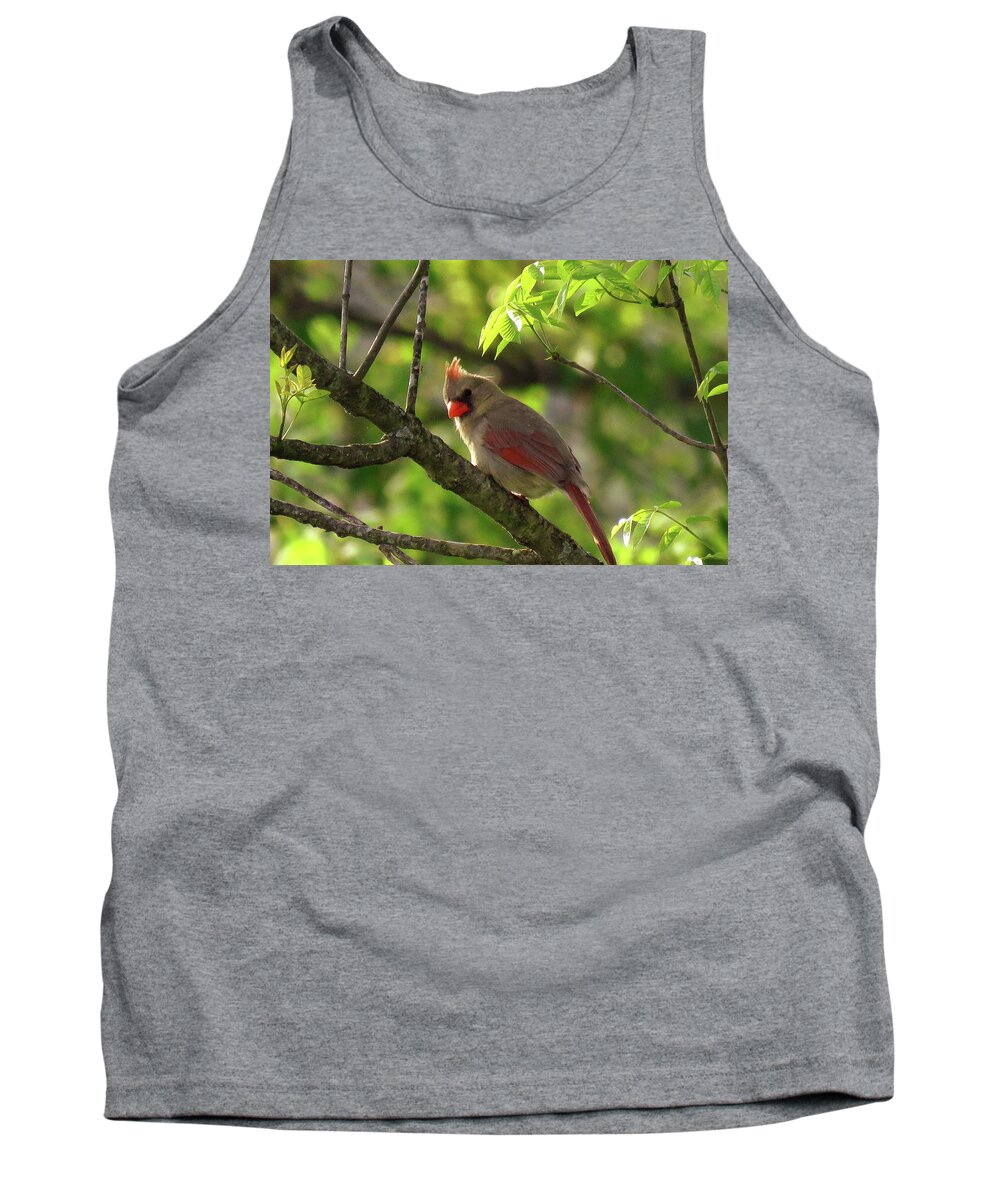 Cardinal Tank Top featuring the photograph What's That Noise by Mike Flake