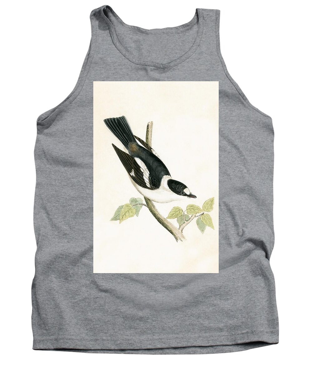 Flycatcher Tank Top featuring the painting White Collared Flycatcher by English School